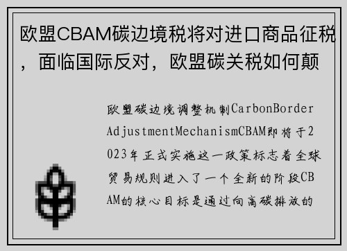 欧盟CBAM碳边境税将对进口商品征税，面临国际反对，欧盟碳关税如何颠覆世界贸易