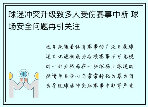 球迷冲突升级致多人受伤赛事中断 球场安全问题再引关注 球迷冲突升级致多人受伤赛事中断 球场安全问题再引关注